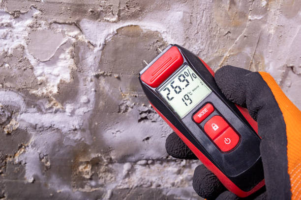 Best Mold Testing and Inspection Services in Bristol, WI