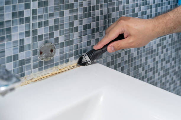Best Localized Mold Remediation (e.g., coastal areas, humid climates) in Bristol, WI